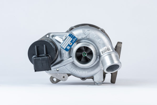 BorgWarner 54399880110 BV39...