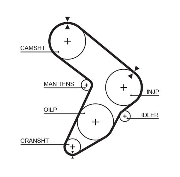 GATES 5112 Cinghia dentata