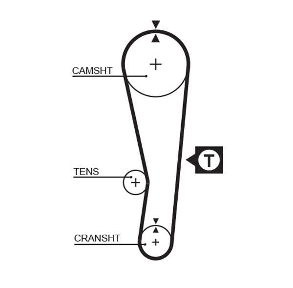 GATES 5122 Cinghia dentata