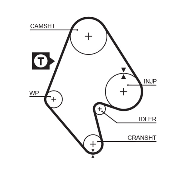 GATES 5129 Cinghia dentata