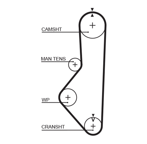 GATES 5149XS Cinghia dentata