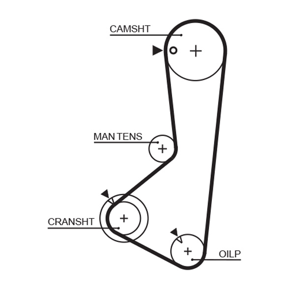 GATES 5256XS Cinghia dentata