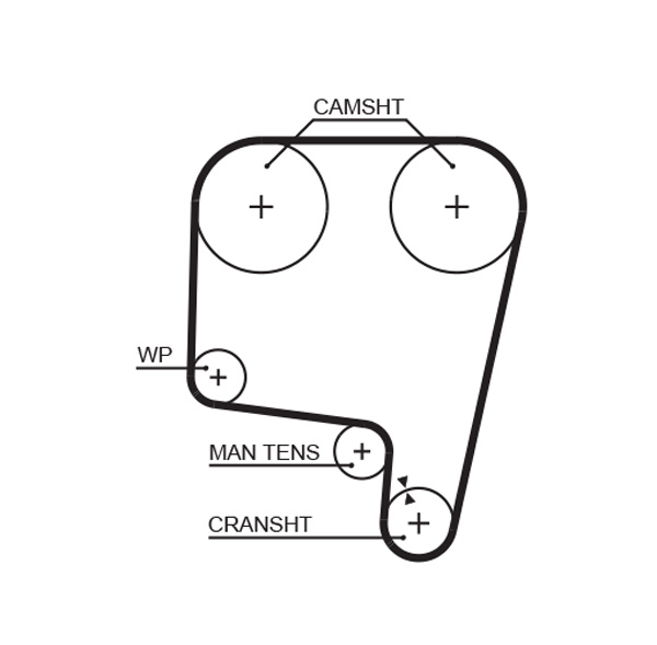 GATES 5340 Cinghia dentata