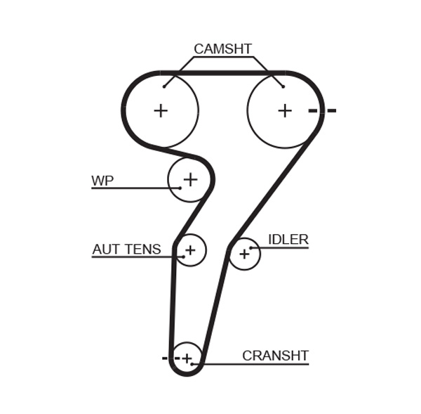 GATES 5429XS Cinghia dentata