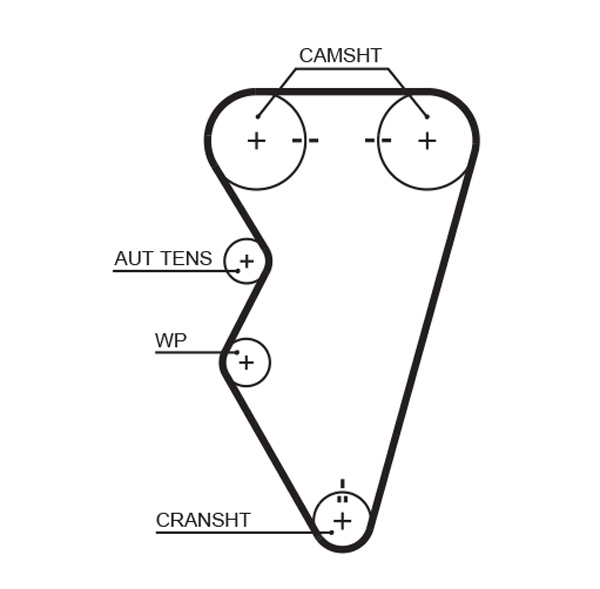 GATES 5497XS Cinghia dentata