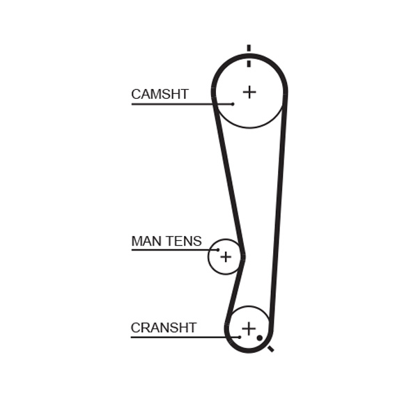 GATES 5591XS Cinghia dentata