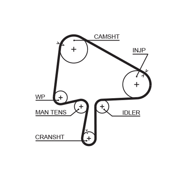 GATES K015596XS...