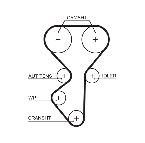 GATES K015631XS Kit cinghie dentate-Kit cinghie dentate-Ricambi Euro