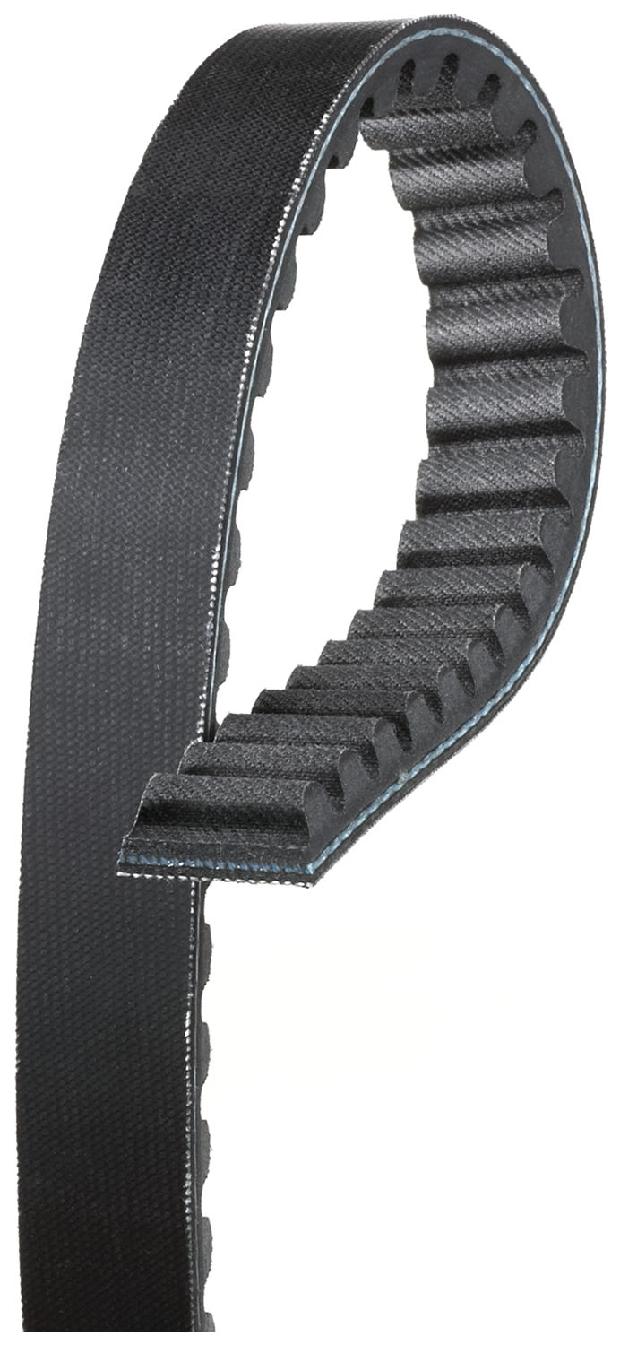 Drive V-Belt, variomatic