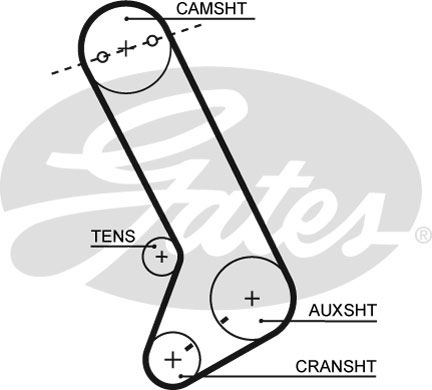 GATES T071 Cinghia dentata