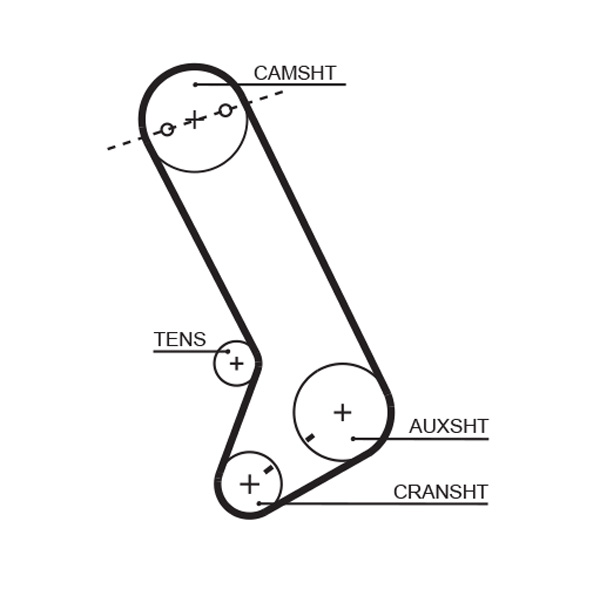 GATES T132 Cinghia dentata