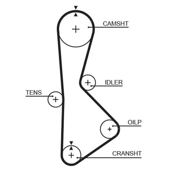 GATES T233 Cinghia dentata