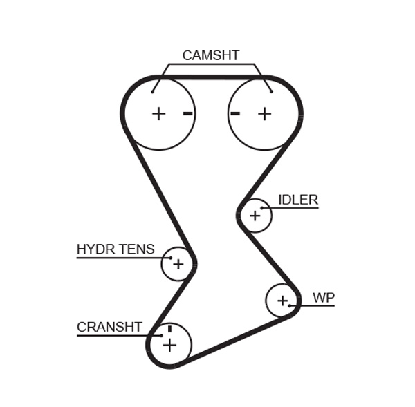 GATES T246 Cinghia dentata