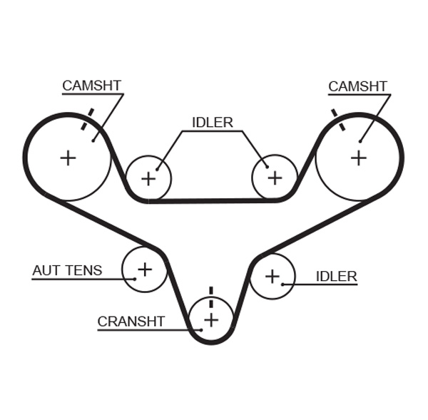 GATES T267 Cinghia dentata