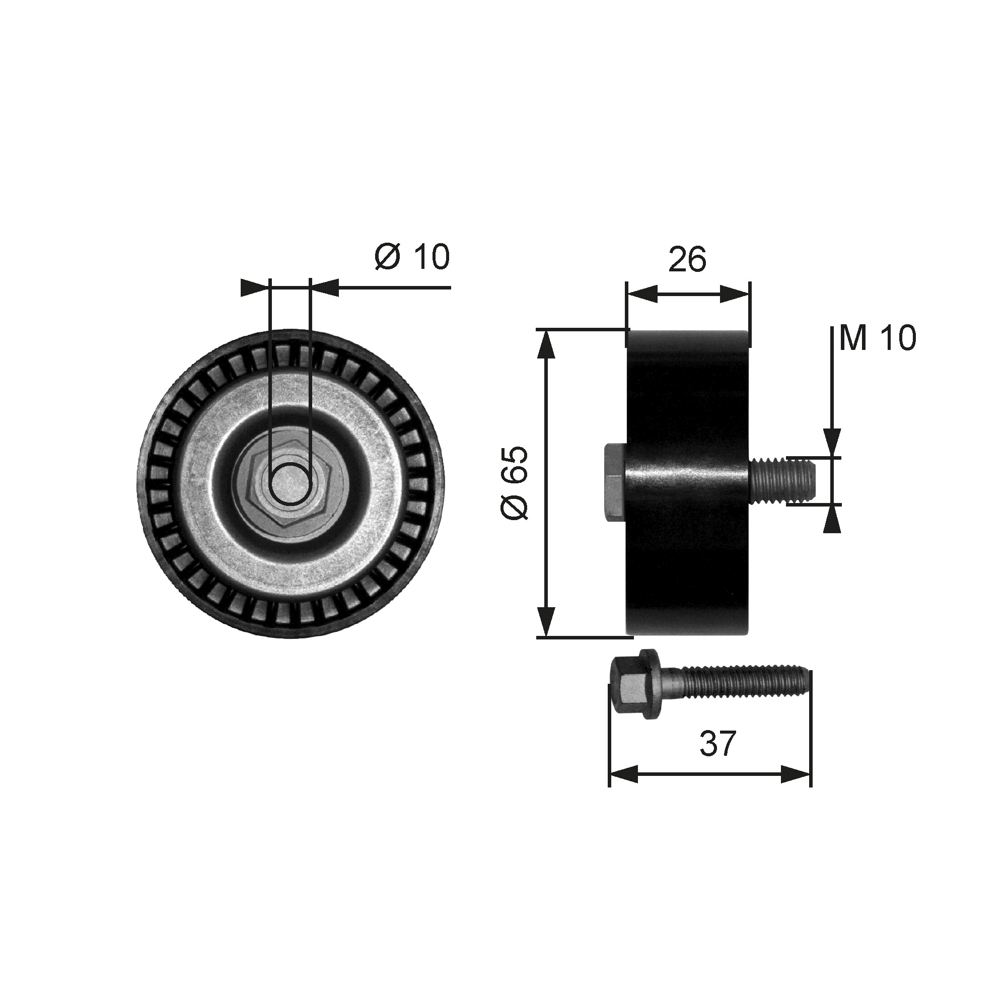 GATES T36300 Galoppino/Guidacinghia, Cinghia Poly-V-Galoppino/Guidacinghia, Cinghia Poly-V-Ricambi Euro