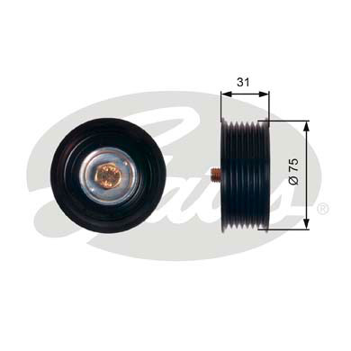 GATES T36305 Galoppino/Guidacinghia, Cinghia Poly-V-Galoppino/Guidacinghia, Cinghia Poly-V-Ricambi Euro