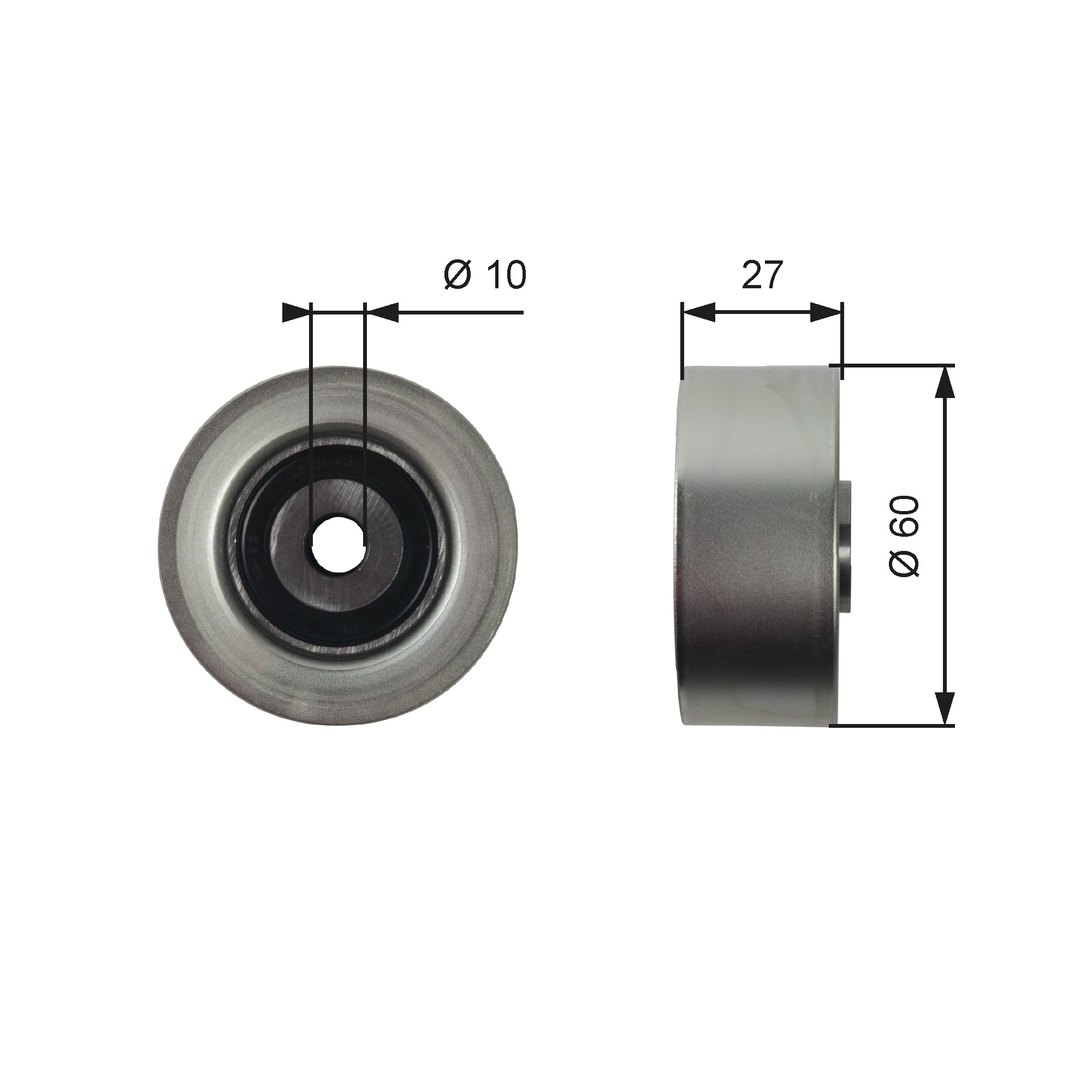 GATES T36392 Galoppino/Guidacinghia, Cinghia Poly-V-Galoppino/Guidacinghia, Cinghia Poly-V-Ricambi Euro