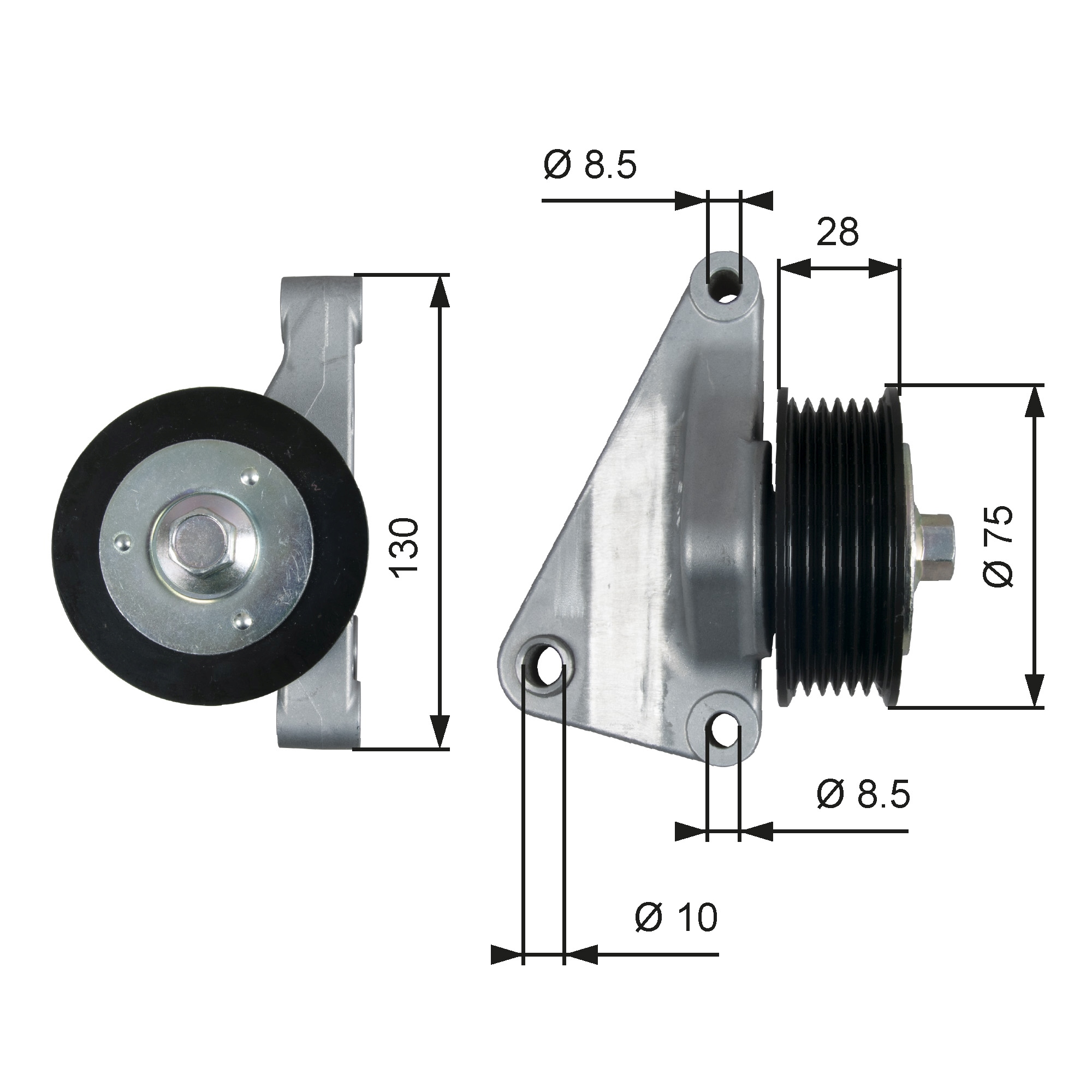 GATES T36422 Galoppino/Guidacinghia, Cinghia Poly-V-Galoppino/Guidacinghia, Cinghia Poly-V-Ricambi Euro