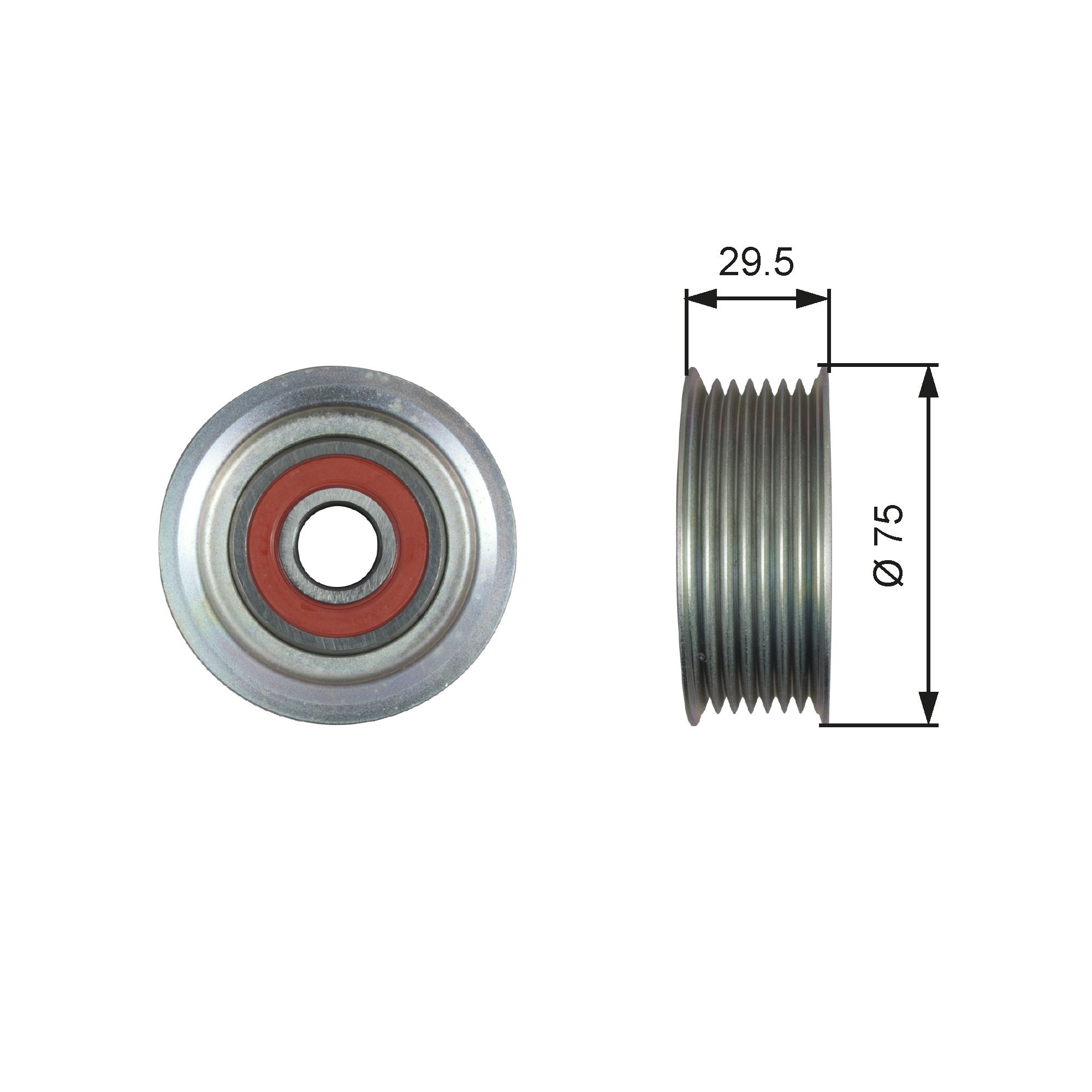 GATES T36447 Galoppino/Guidacinghia, Cinghia Poly-V-Galoppino/Guidacinghia, Cinghia Poly-V-Ricambi Euro