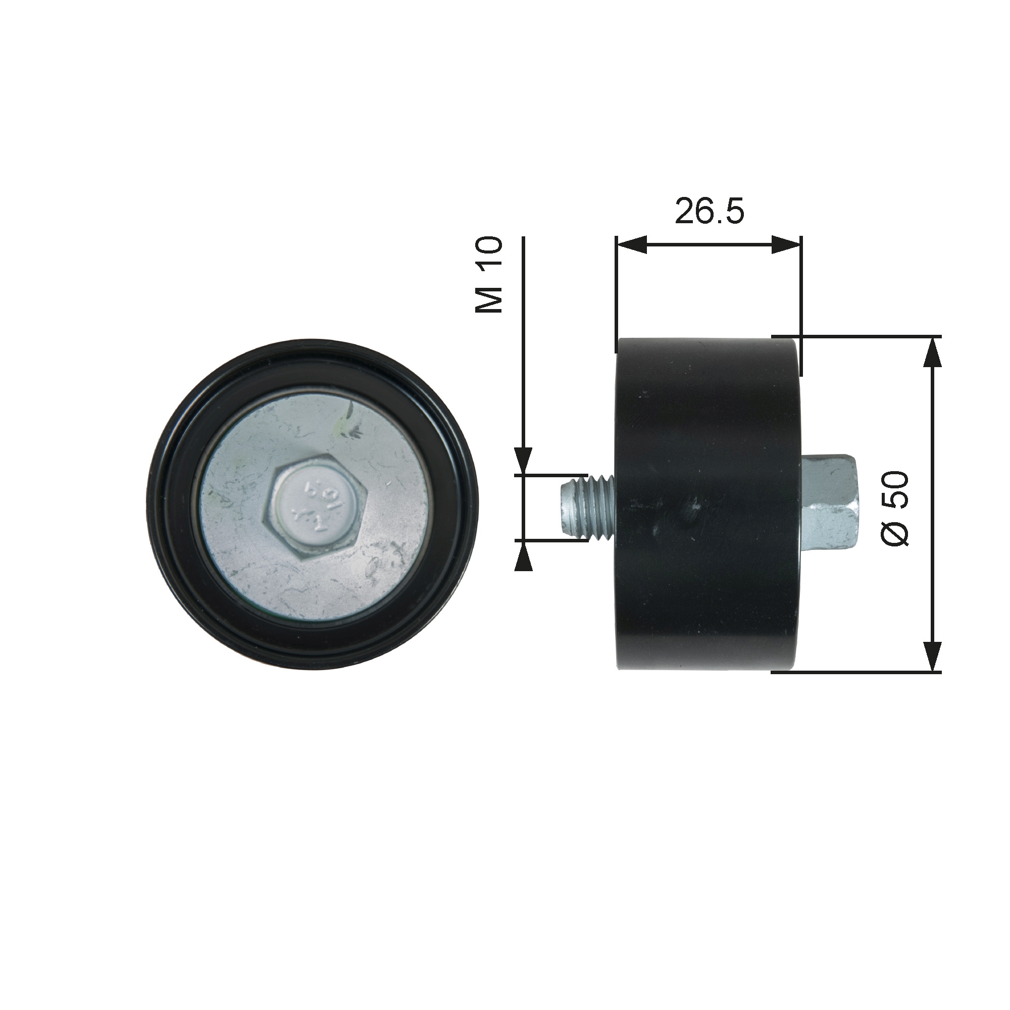 GATES T36537 Galoppino/Guidacinghia, Cinghia Poly-V-Galoppino/Guidacinghia, Cinghia Poly-V-Ricambi Euro