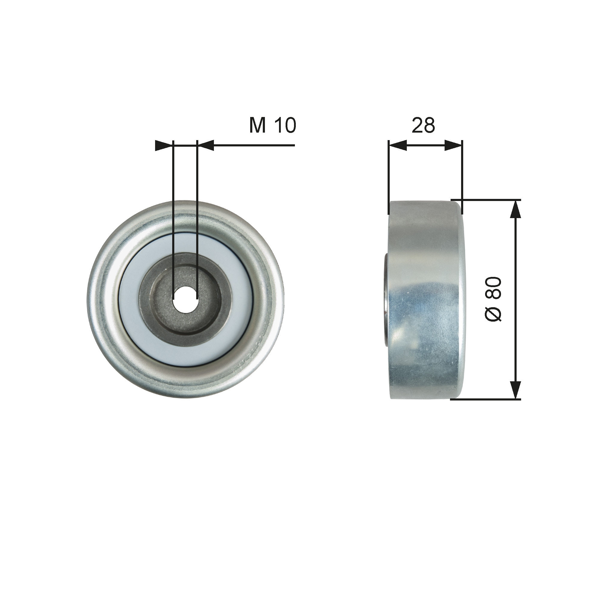 GATES T36778 Galoppino/Guidacinghia, Cinghia Poly-V-Galoppino/Guidacinghia, Cinghia Poly-V-Ricambi Euro