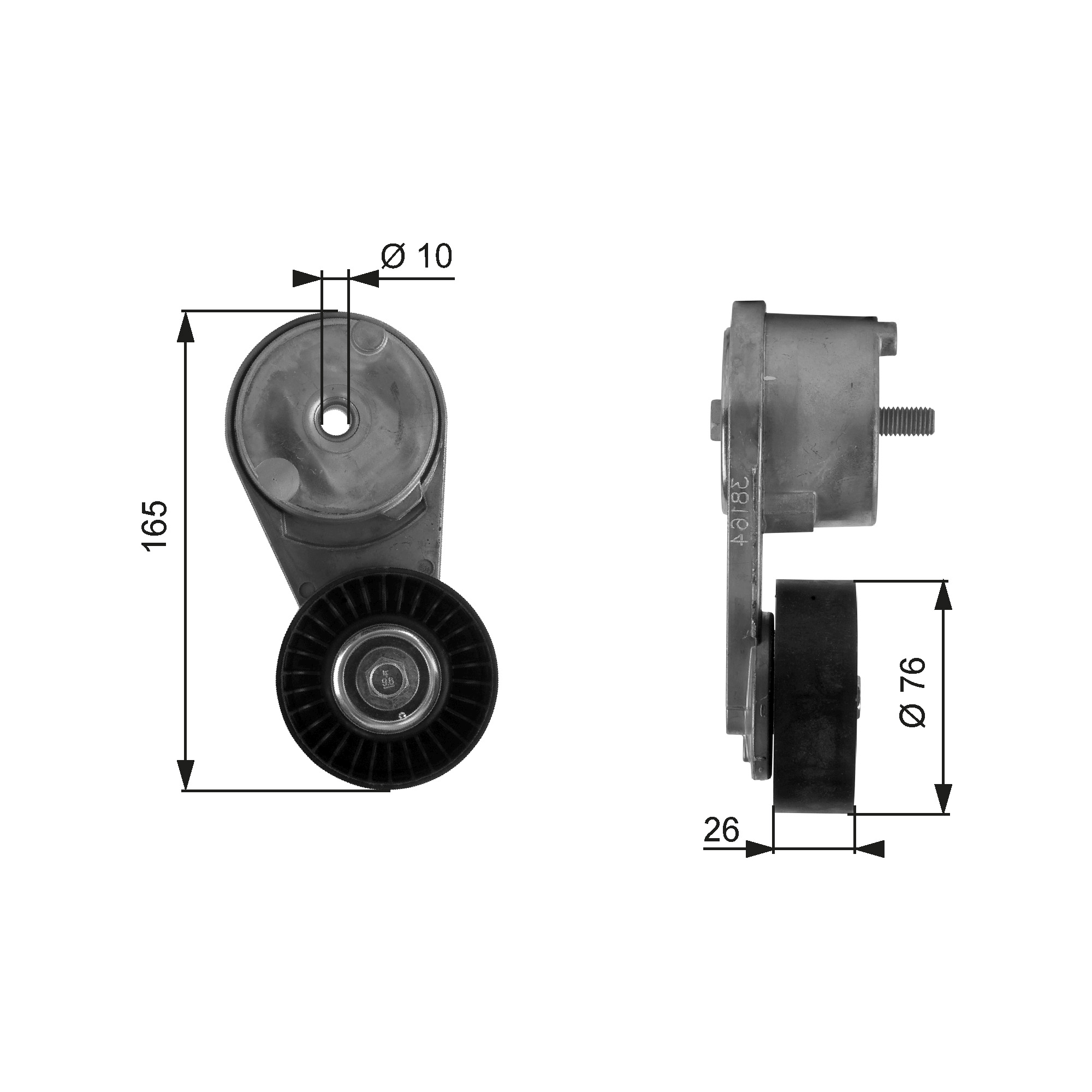 GATES T38164 Tendicinghia, Cinghia Poly-V-Tendicinghia, Cinghia Poly-V-Ricambi Euro