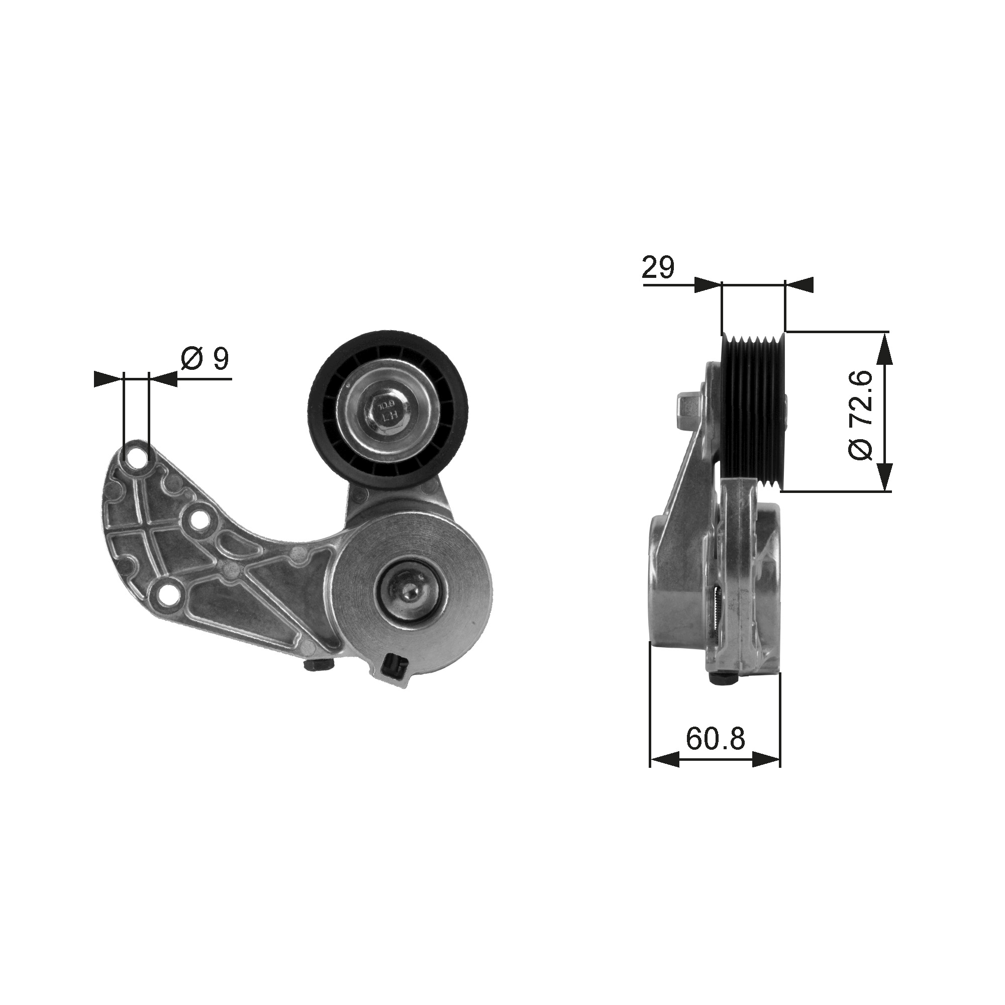 GATES T38317 Tendicinghia, Cinghia Poly-V