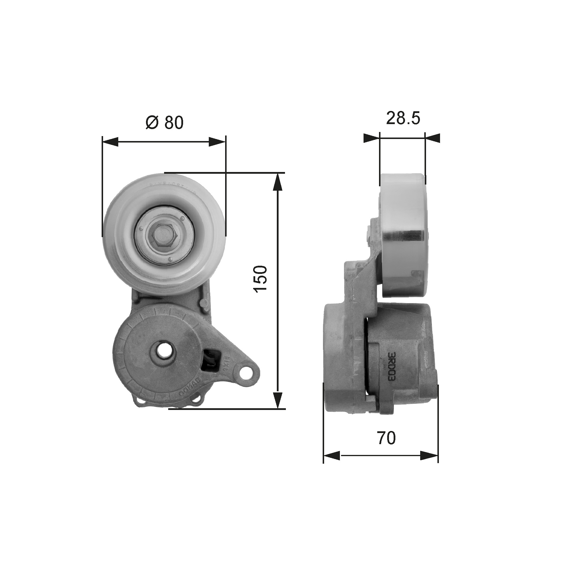 GATES T38413 Tendicinghia, Cinghia Poly-V