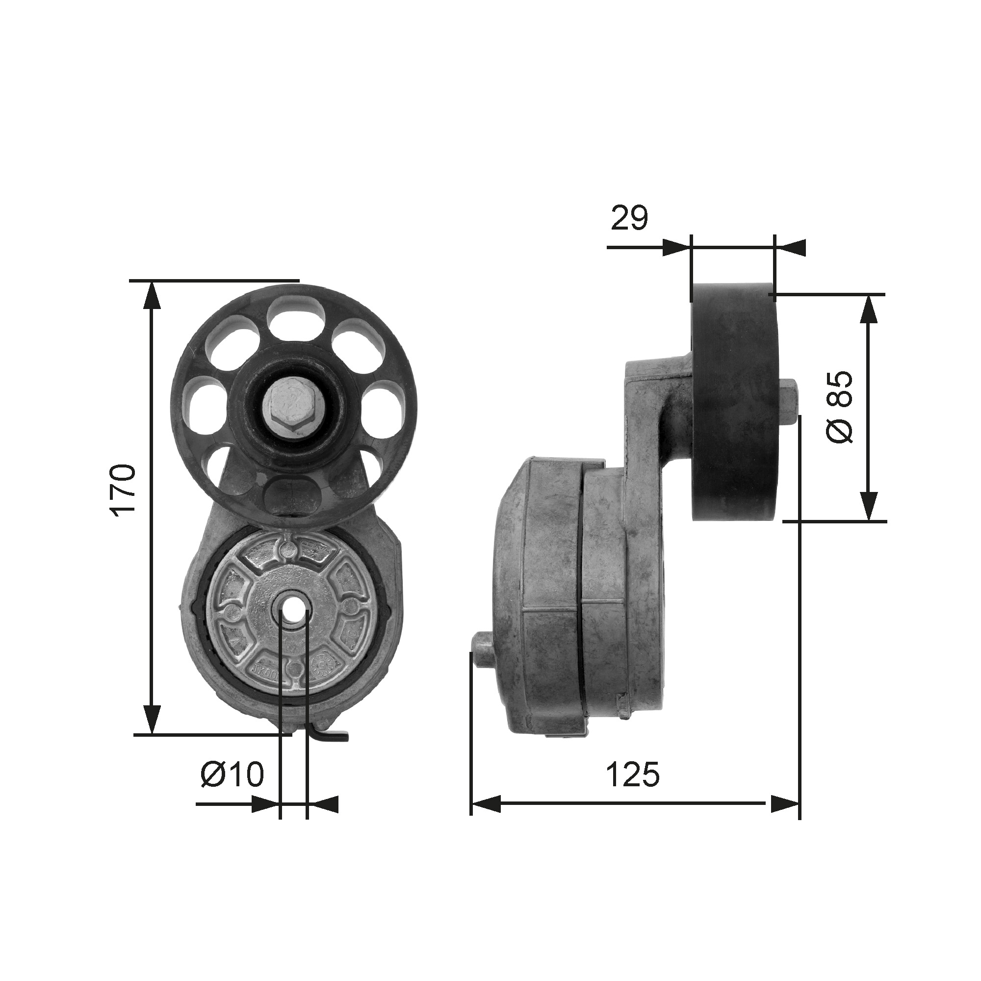 GATES T38425 Rullo tenditore, Cinghia Poly-V-Rullo tenditore, Cinghia Poly-V-Ricambi Euro