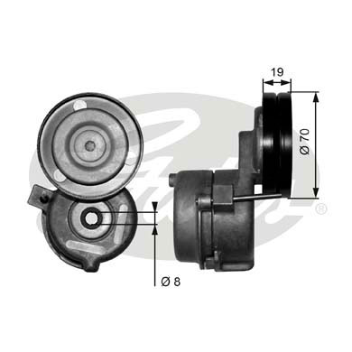 GATES T38558 Tendicinghia, Cinghia Poly-V-Tendicinghia, Cinghia Poly-V-Ricambi Euro