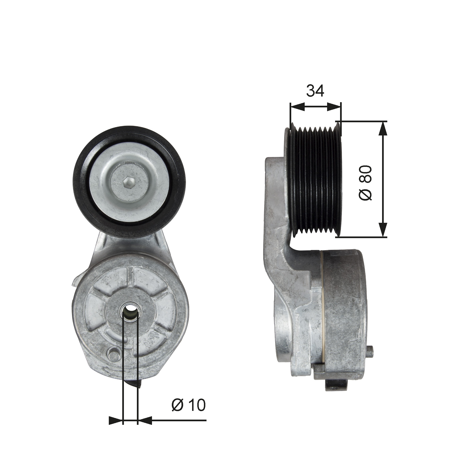 GATES T38704 Tendicinghia, Cinghia Poly-V-Tendicinghia, Cinghia Poly-V-Ricambi Euro