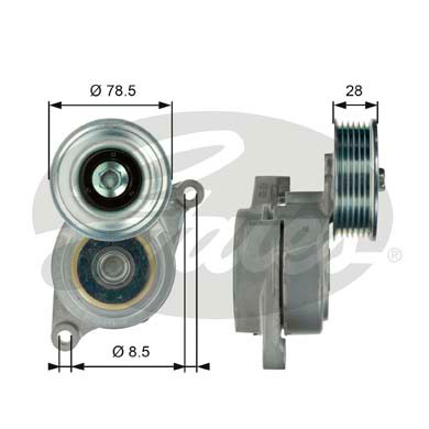 GATES T39103 Tendicinghia, Cinghia Poly-V-Tendicinghia, Cinghia Poly-V-Ricambi Euro