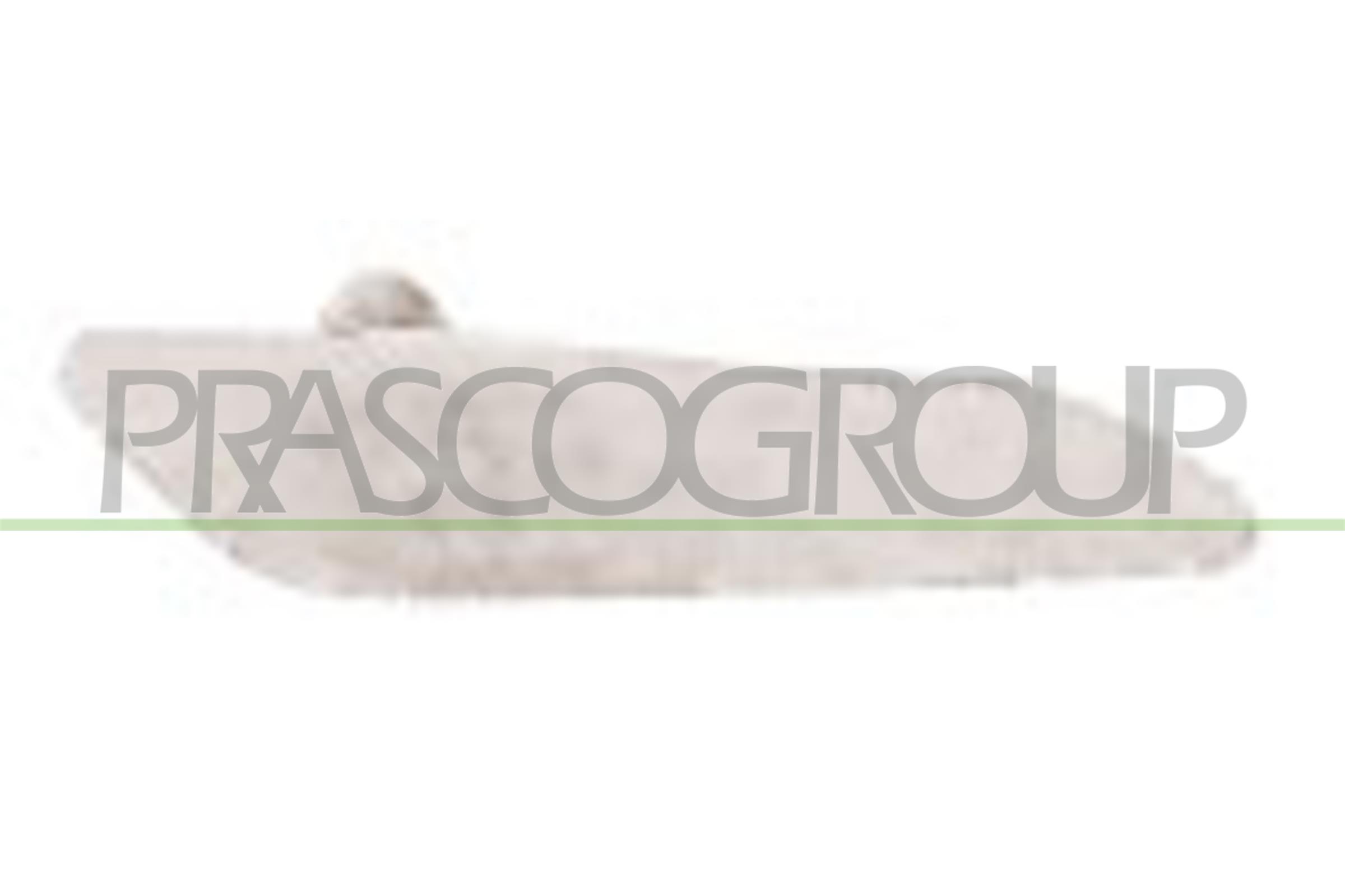 PRASCO AA0804041 Indicatore...