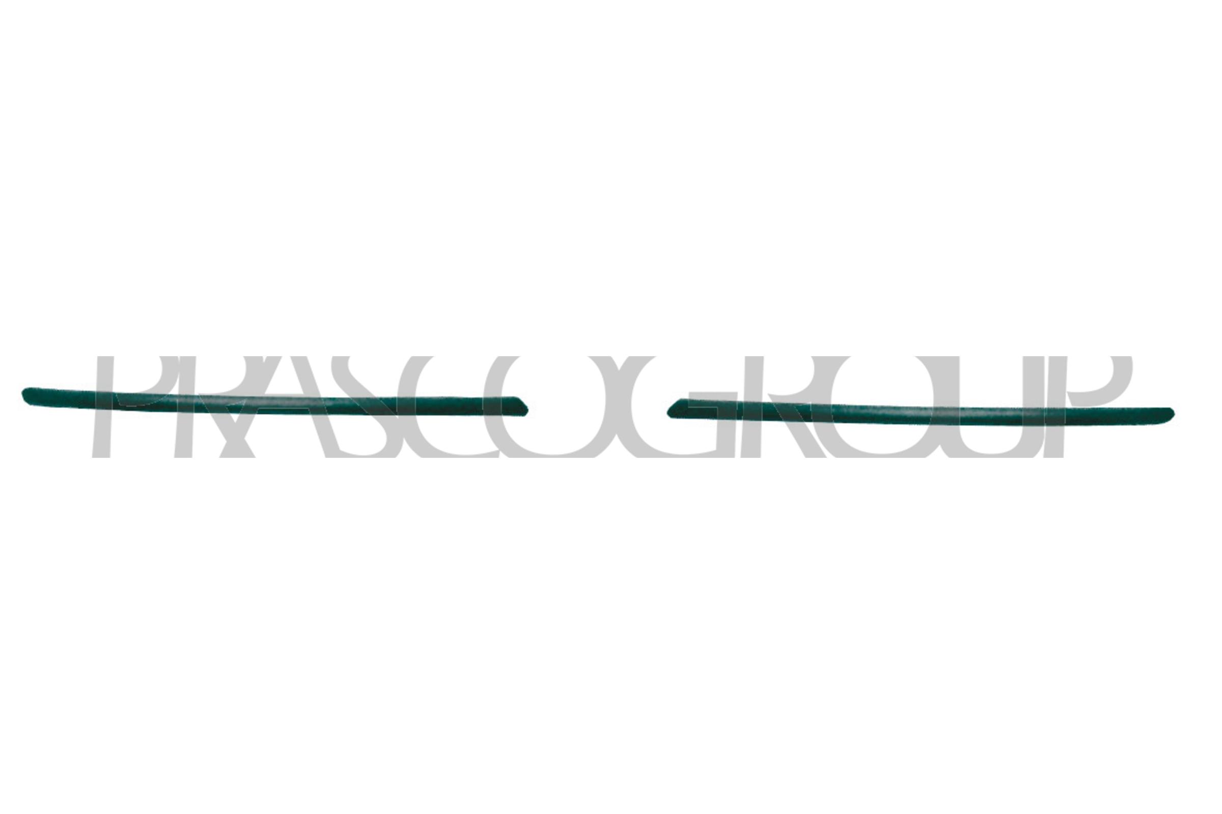 PRASCO AA3401244 Modanatura...