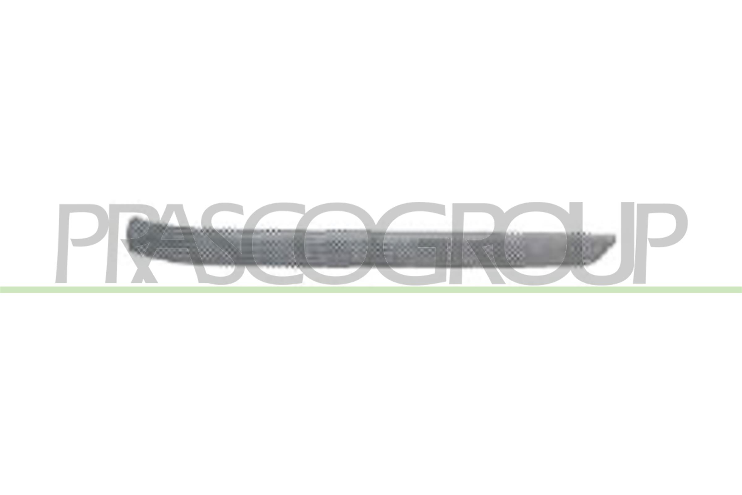 PRASCO BM0181254 Modanatura...