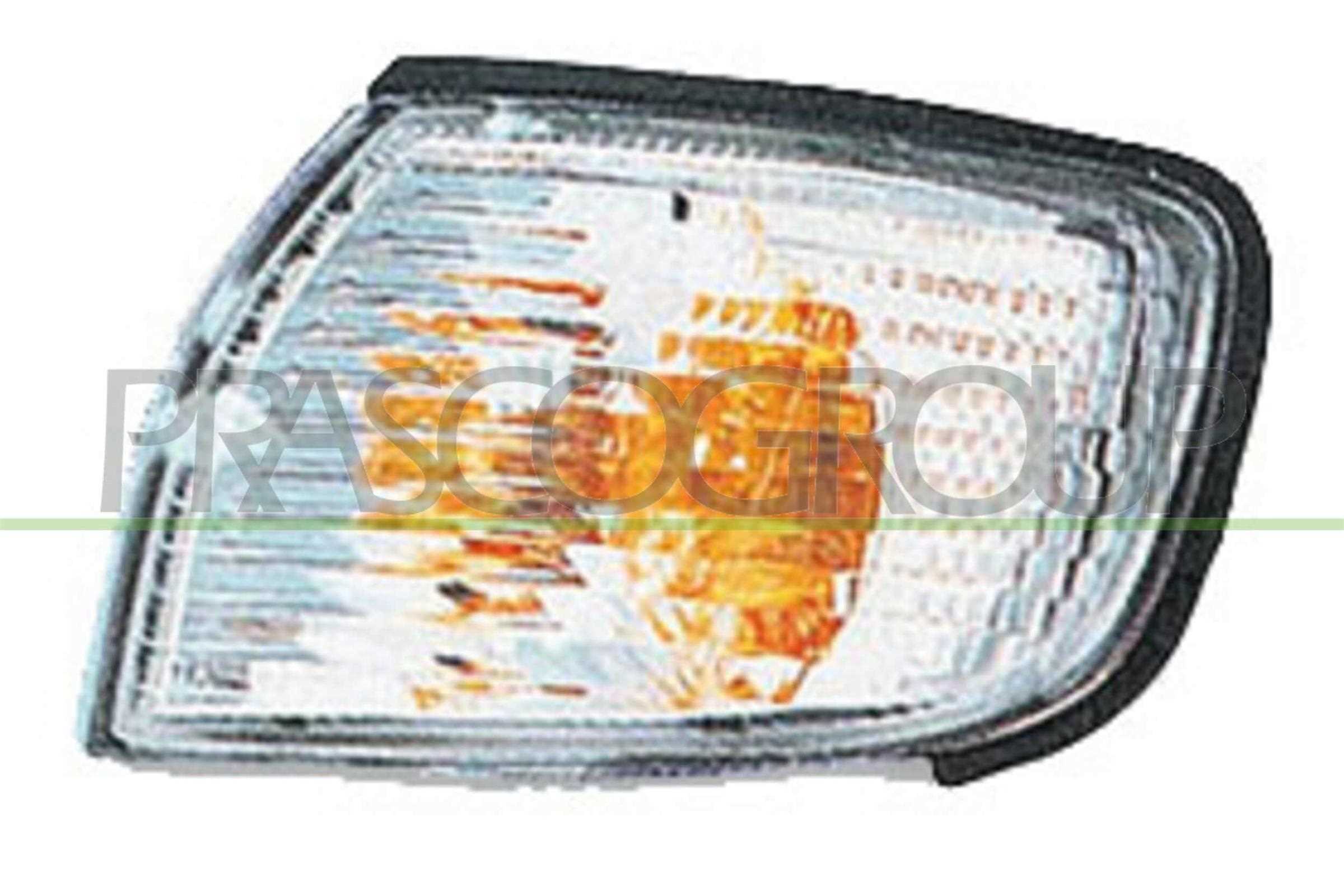 PRASCO DS4224013 Indicatore...