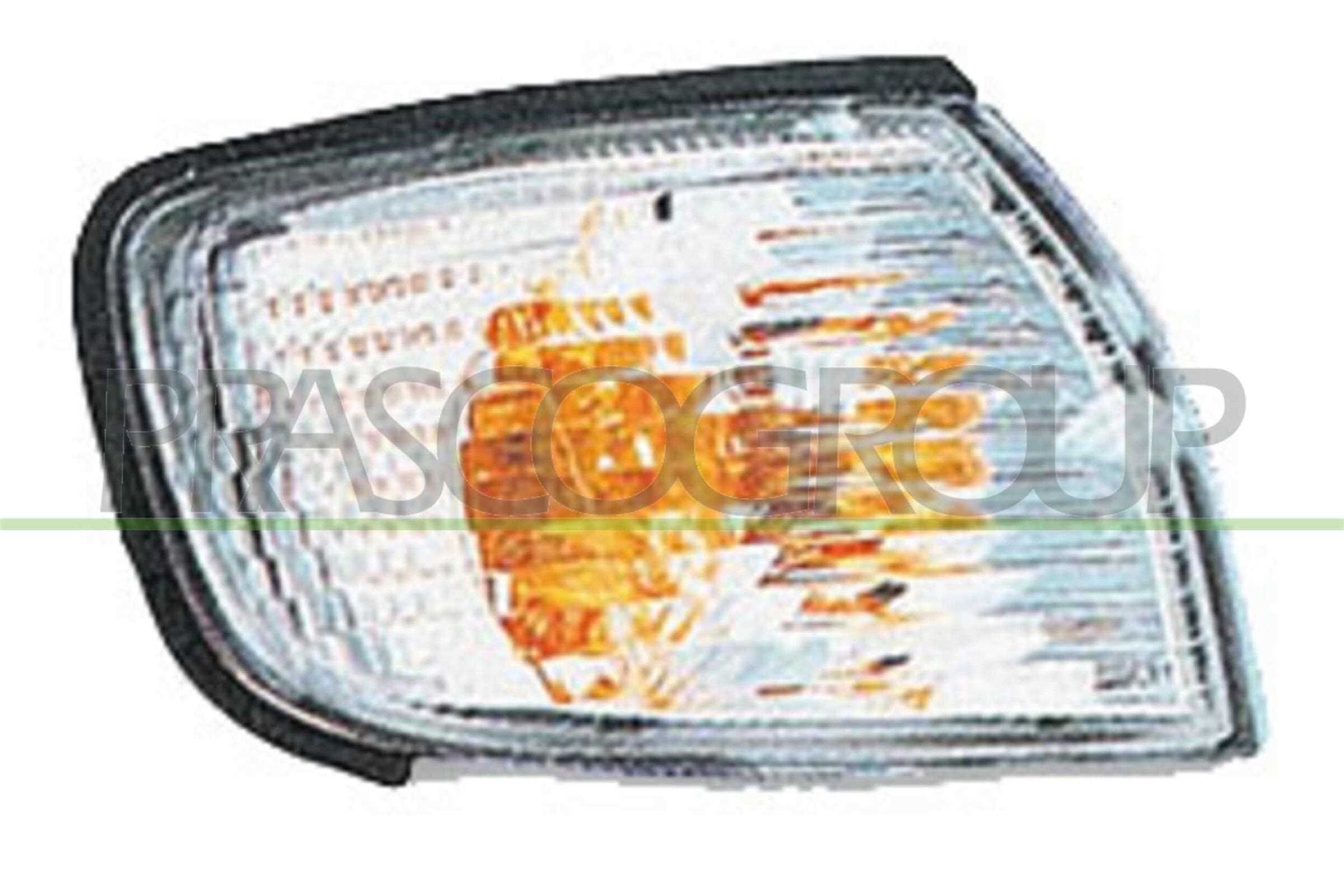 PRASCO DS4224014 Indicatore...
