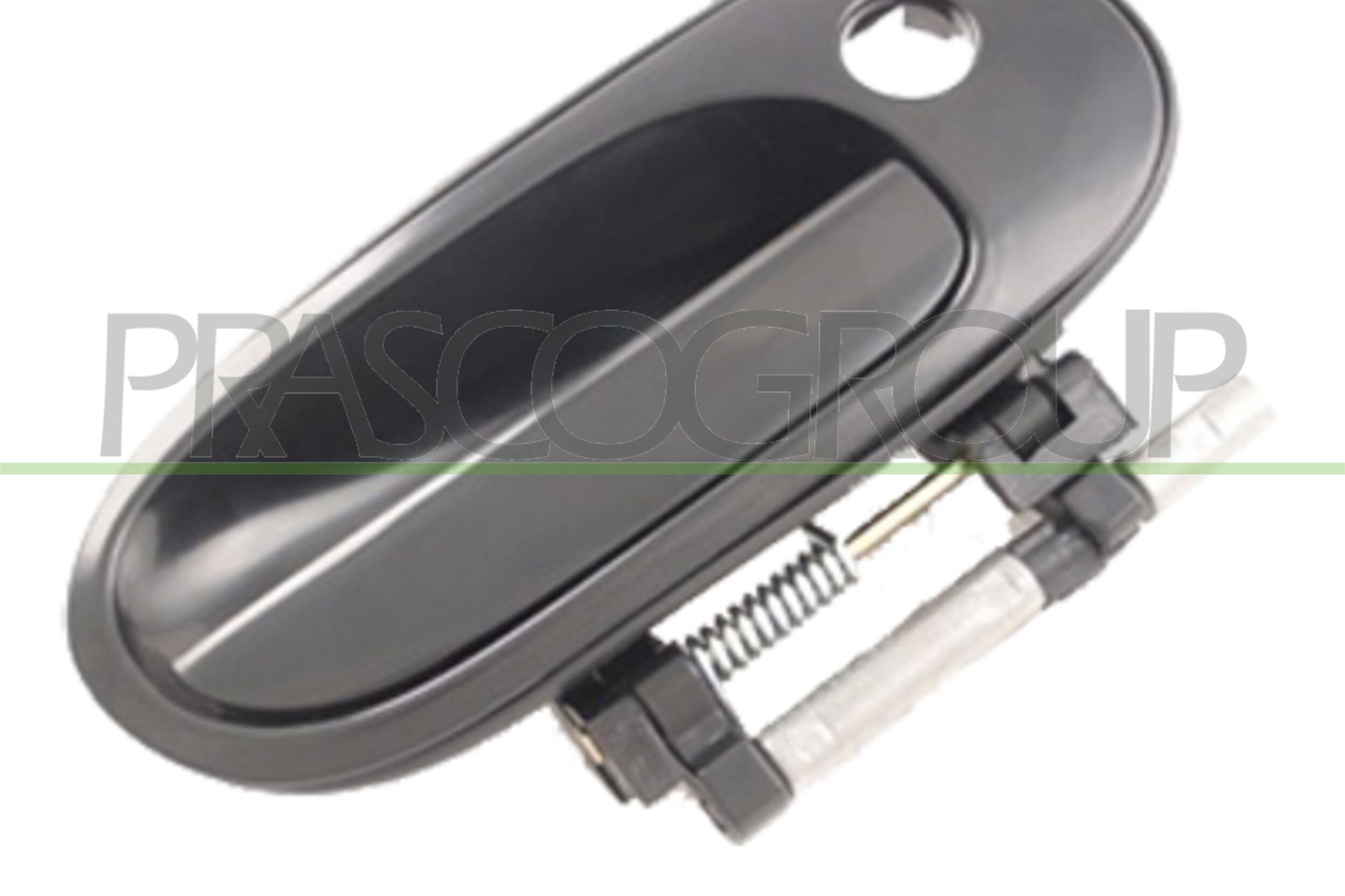PRASCO DS4228001 Maniglia...