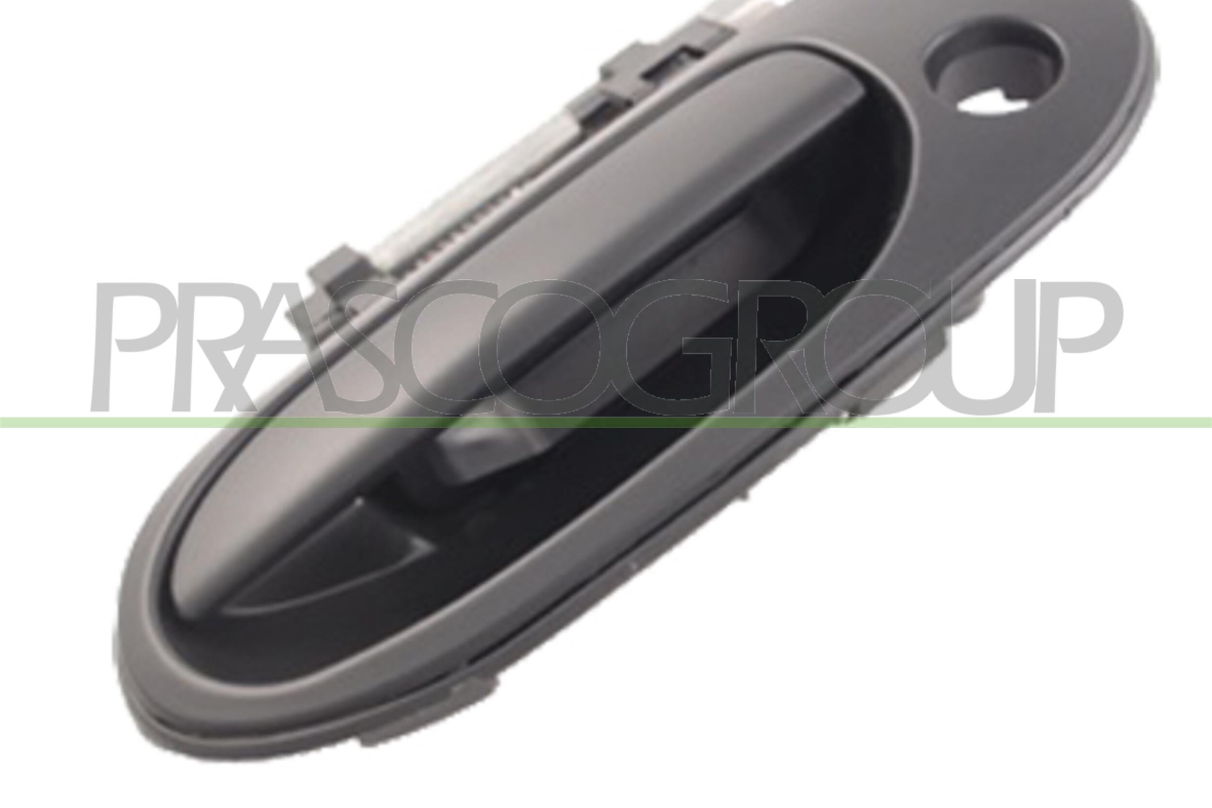 PRASCO DS4228002 Maniglia...