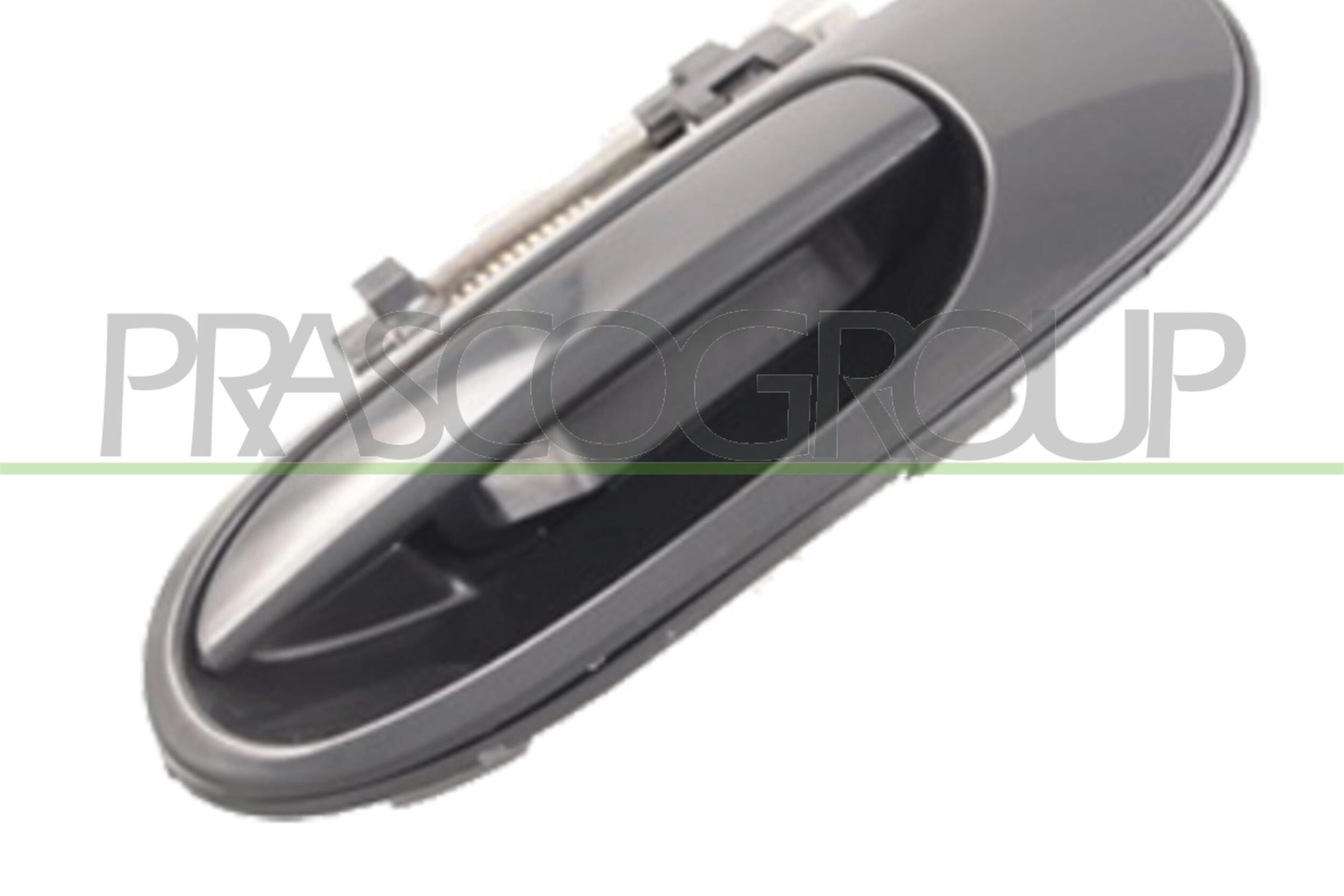 PRASCO DS4228102 Maniglia...