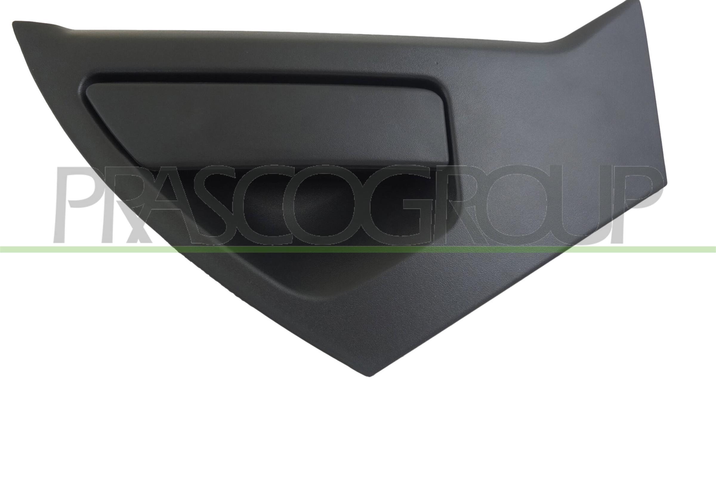 PRASCO DS7008102 Maniglia...