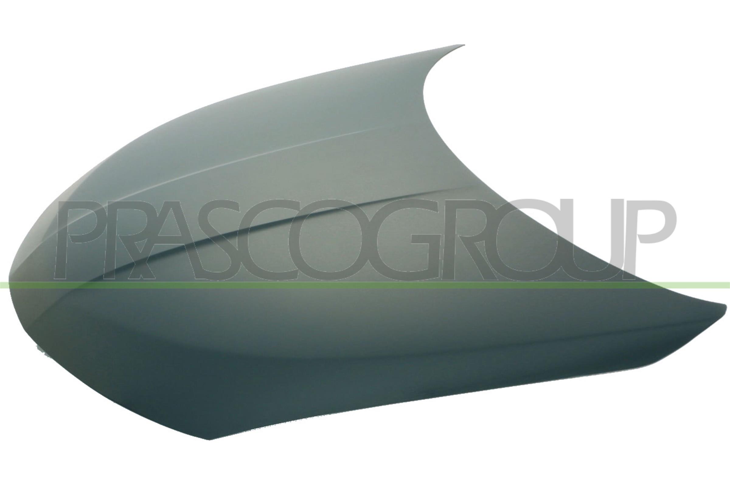 PRASCO DS7303100 Cofano motore