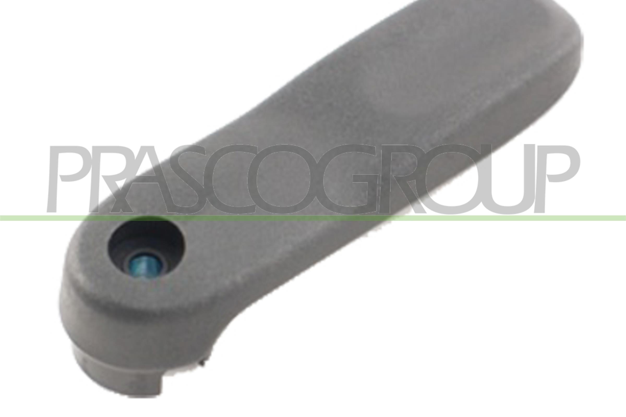 PRASCO DS9178300 Maniglia...