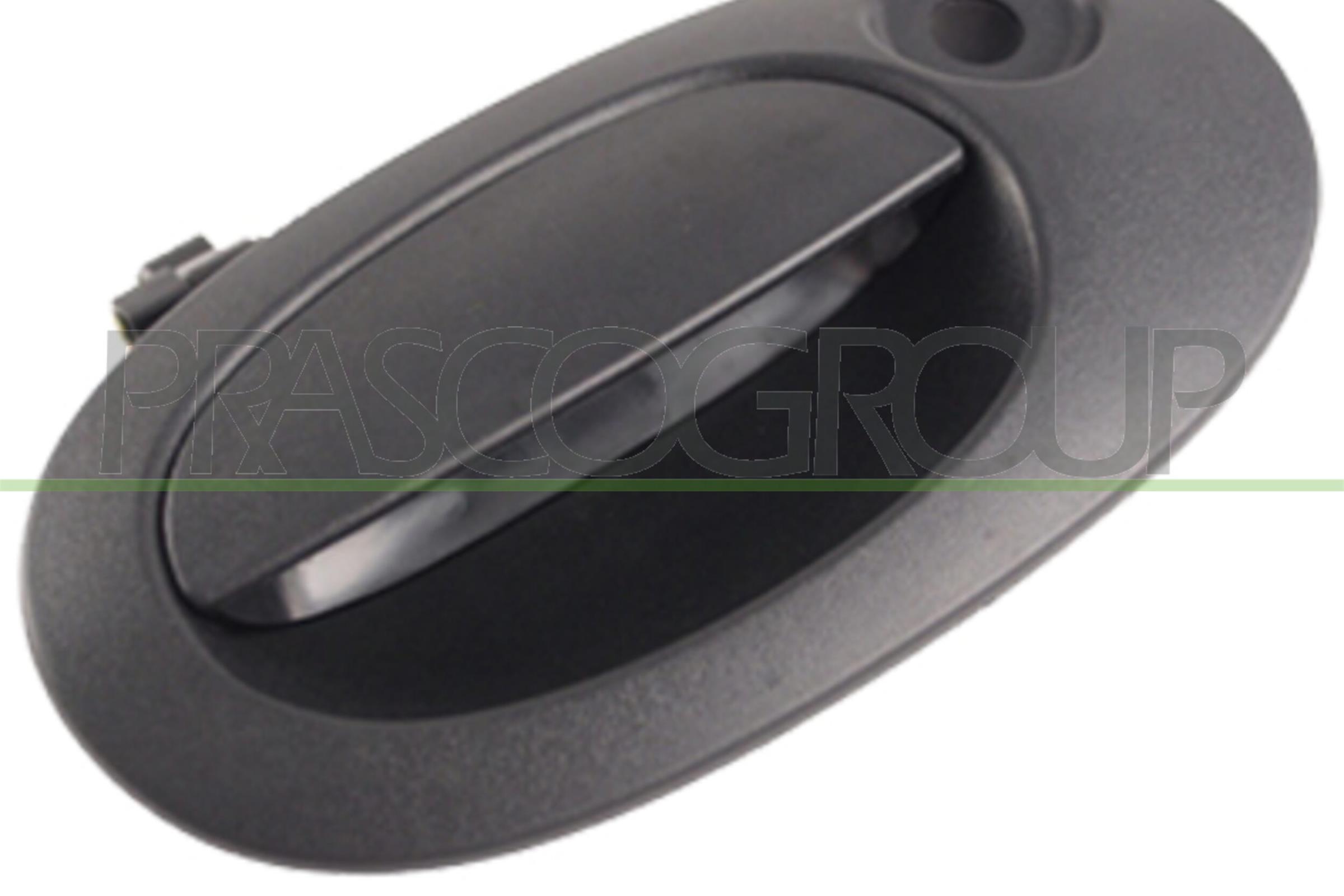 PRASCO DS9178351 Maniglia...