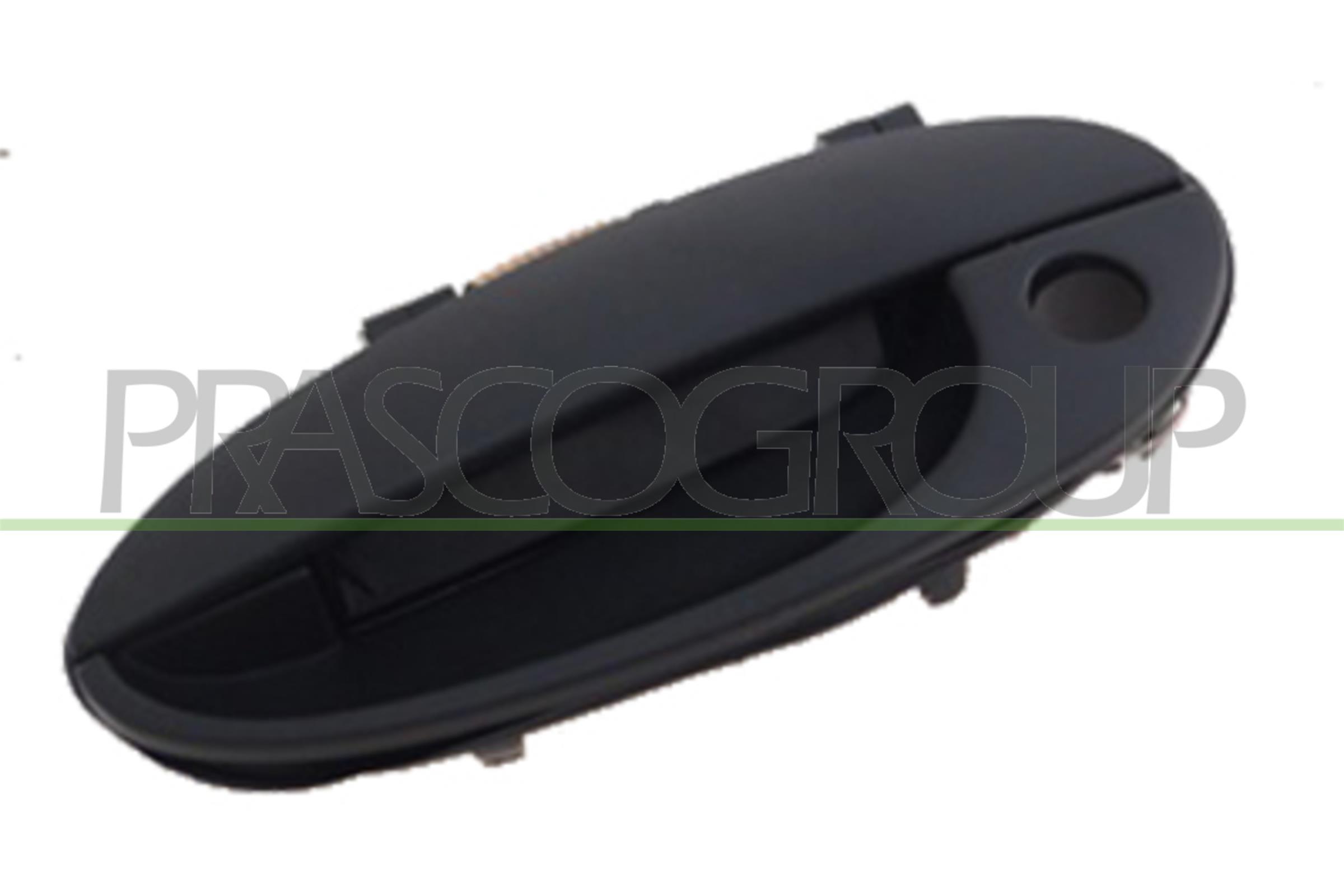 PRASCO DW3208002 Maniglia...