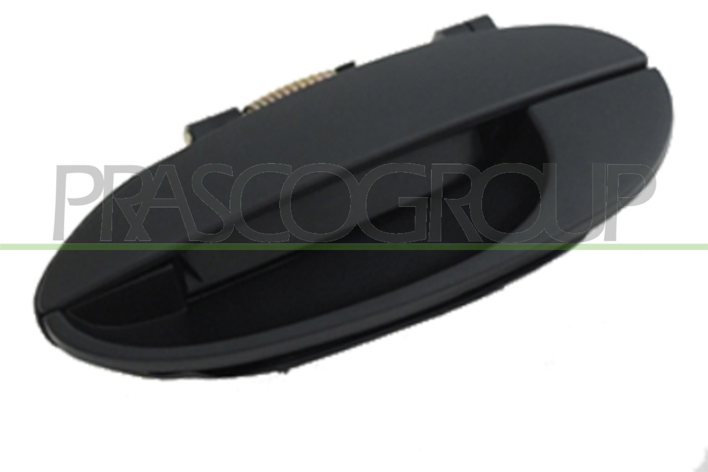 PRASCO DW3208102 Maniglia...