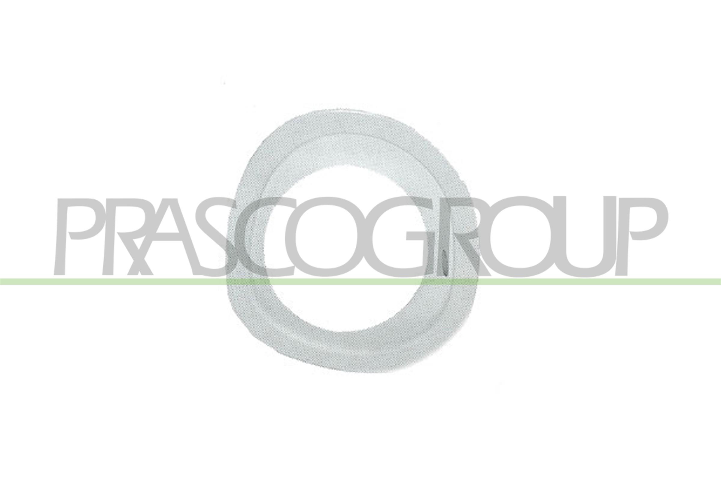 PRASCO FD1051247 Supporto,...