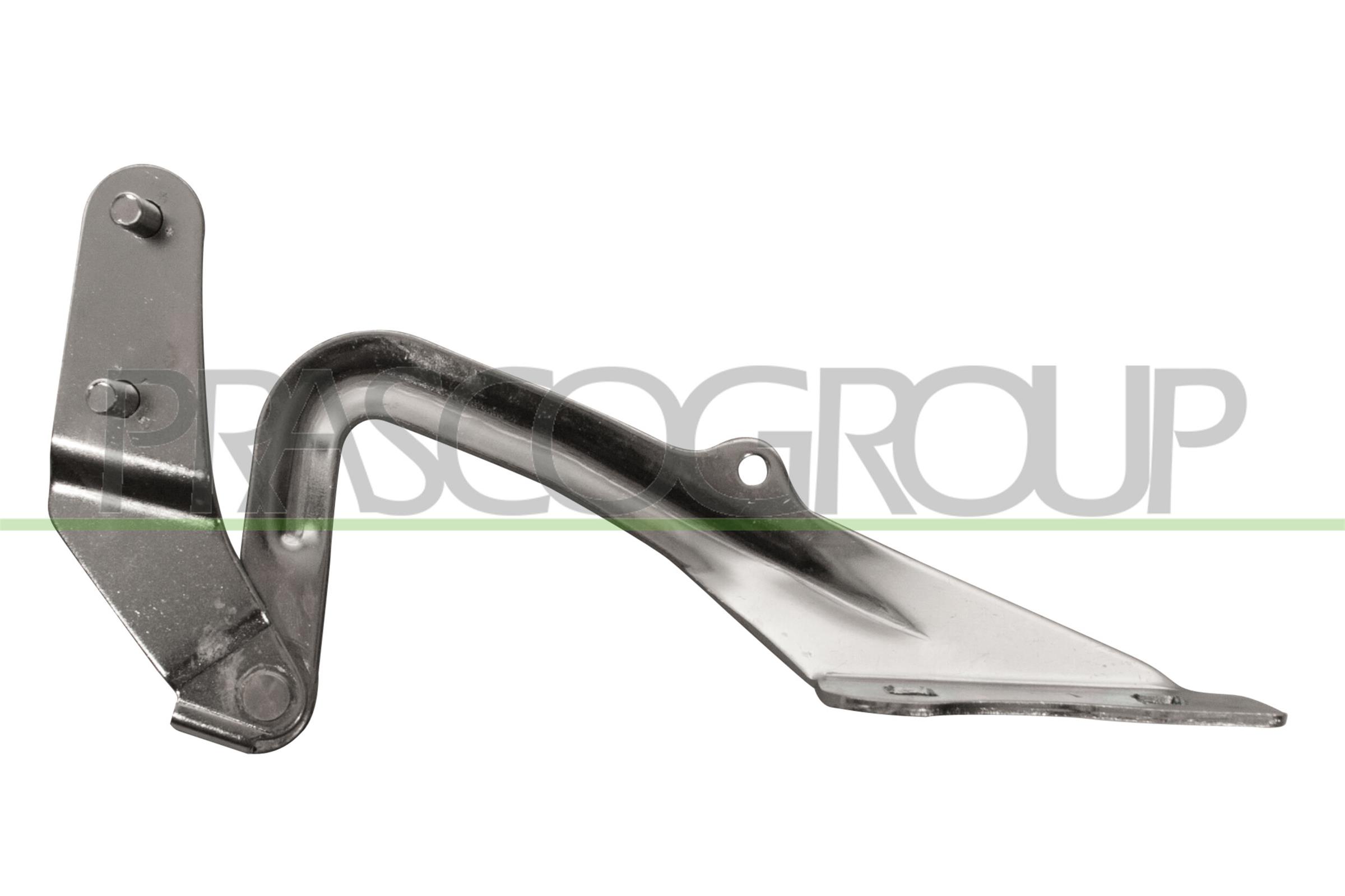 PRASCO FD4243703 Cerniera,...