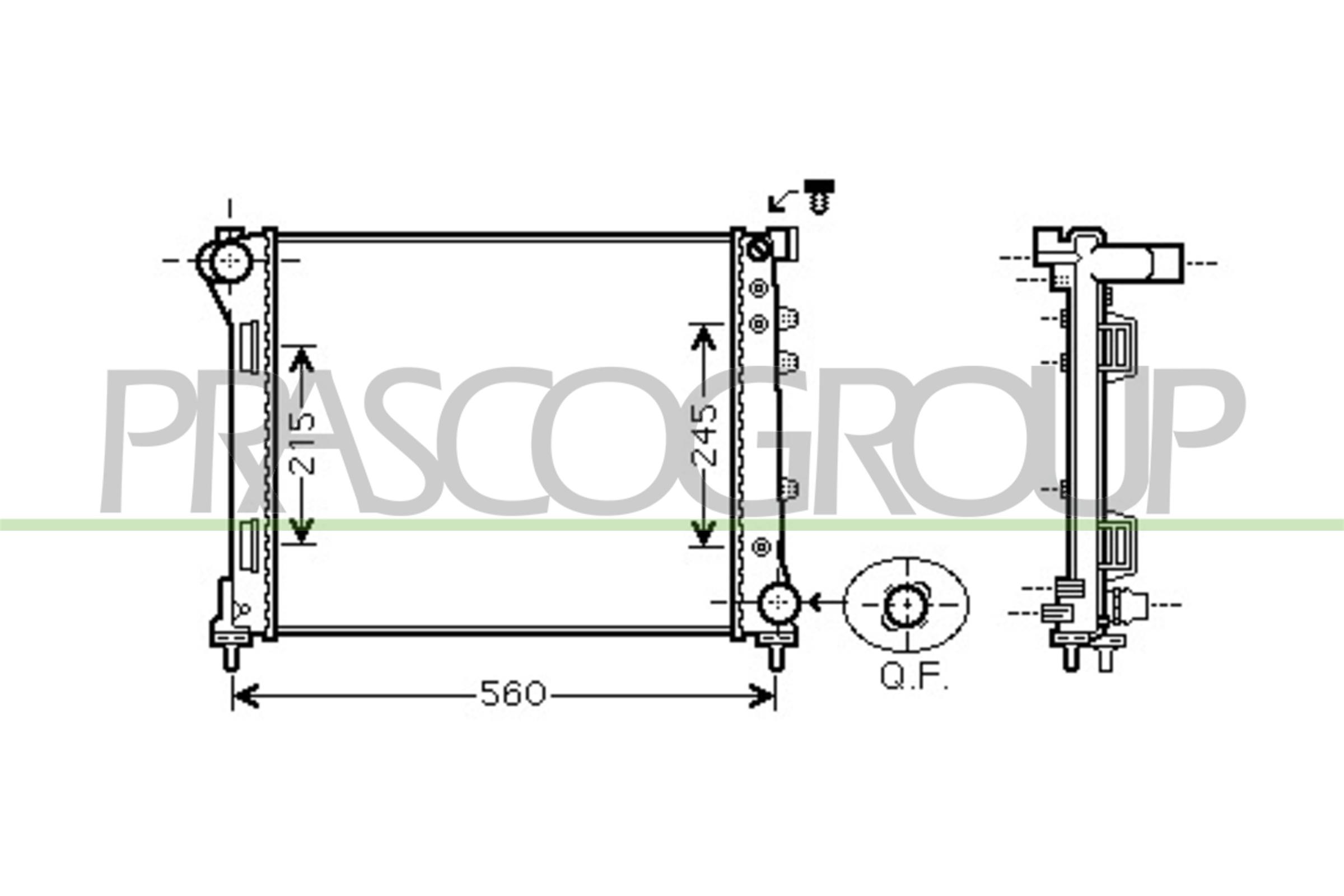 PRASCO FT124R002 Radiatore,...