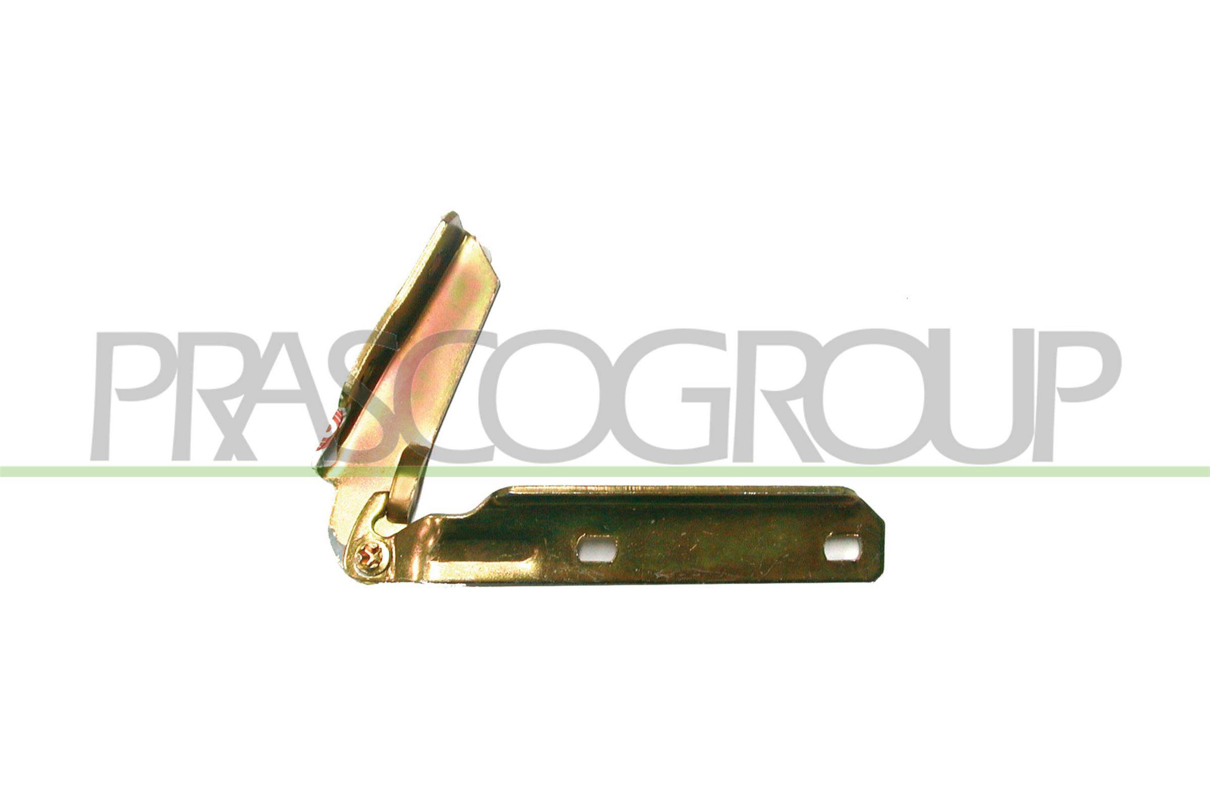 PRASCO FT1293703 Cerniera,...